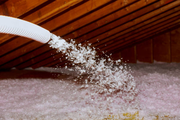 Types of Insulation We Offer in Bothell East, WA