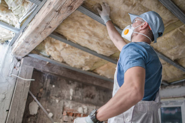 Best Energy Efficiency Insulation in Bothell East, WA