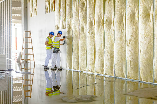 Professional Insulation Contractor in Bothell East, WA